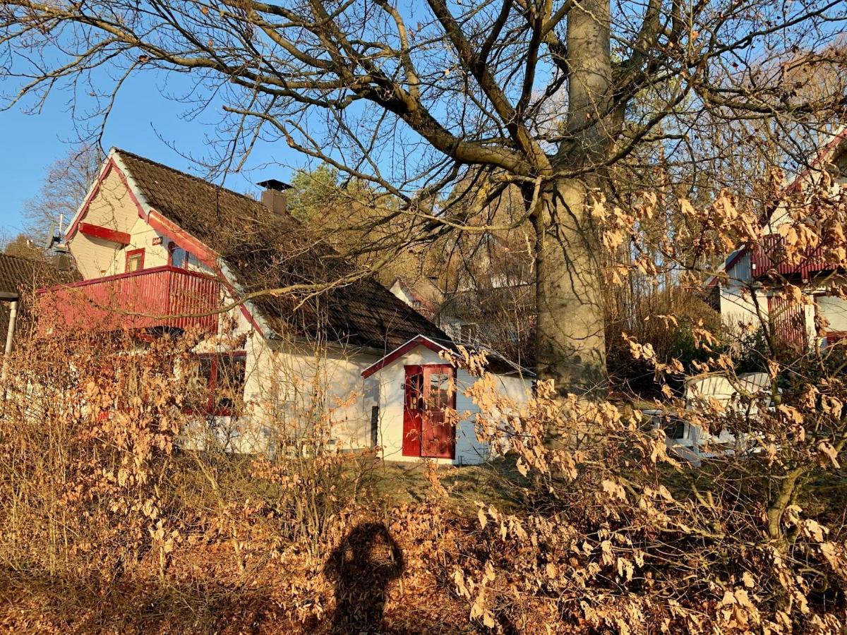 Idylle Seepark - Haus mit Pool und Fasssauna Kirchheim  Exterior foto