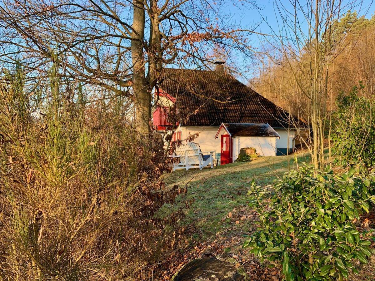 Idylle Seepark - Haus mit Pool und Fasssauna Kirchheim  Exterior foto
